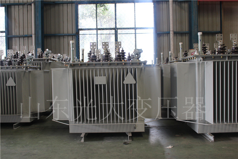 富民S20-500KVA/10KV